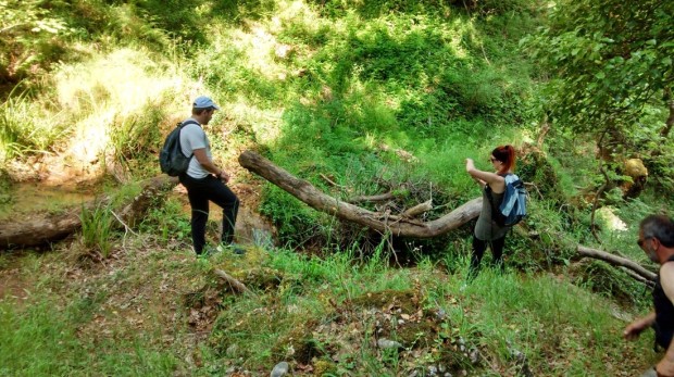 ''Trekking in Folois Forest, Hleia''