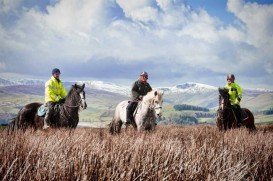 Springhill Farm Riding Stables, Oswestry