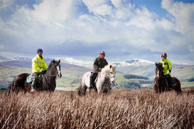 "Horse Riding in Springhill Farm"