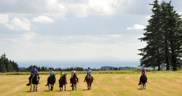 "Horse Riding in Springhill Farm"