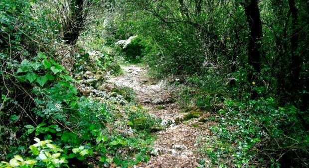 ''Trekking in The Corfu Trail, Corfu Island''