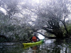 Pamvotis Lake, Ioannina