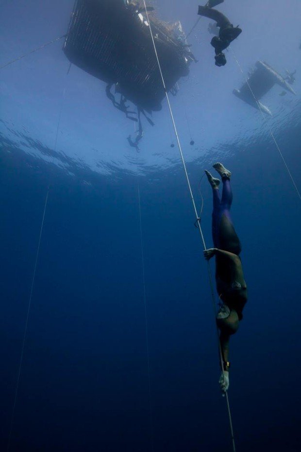 "Natalia Molchanova freedive"