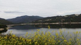 Germasogia Water Dam, Limassol