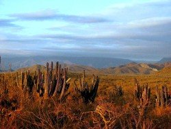 El Pescadero, Baja California Sur