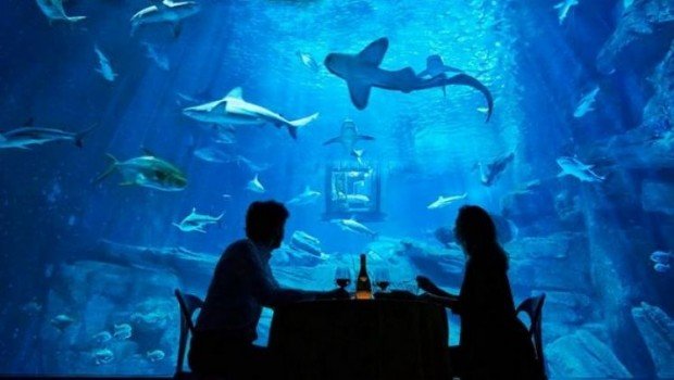 http://www.airbnb.co.uk/night-at/shark-aquarium?confirm=true
