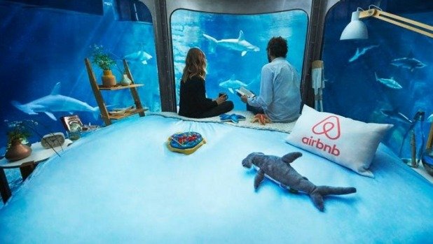 http://www.airbnb.co.uk/night-at/shark-aquarium?confirm=true