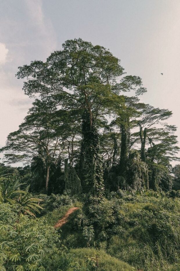 Image Source: https://unsplash.com/photos/rdwcreDj96c
